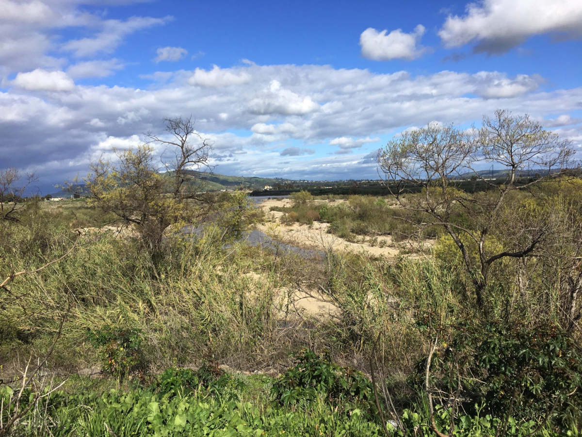 Santa Clara River Loop&nbsp;Trail